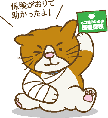 ぽんきち